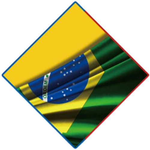 Agente Logístico Autorizado